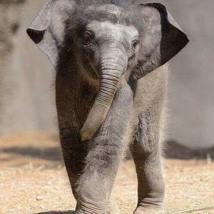 Meet your Posher, Jackie